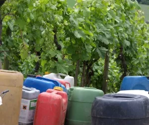 Chemischer Pflanzenschutz Weinbau
